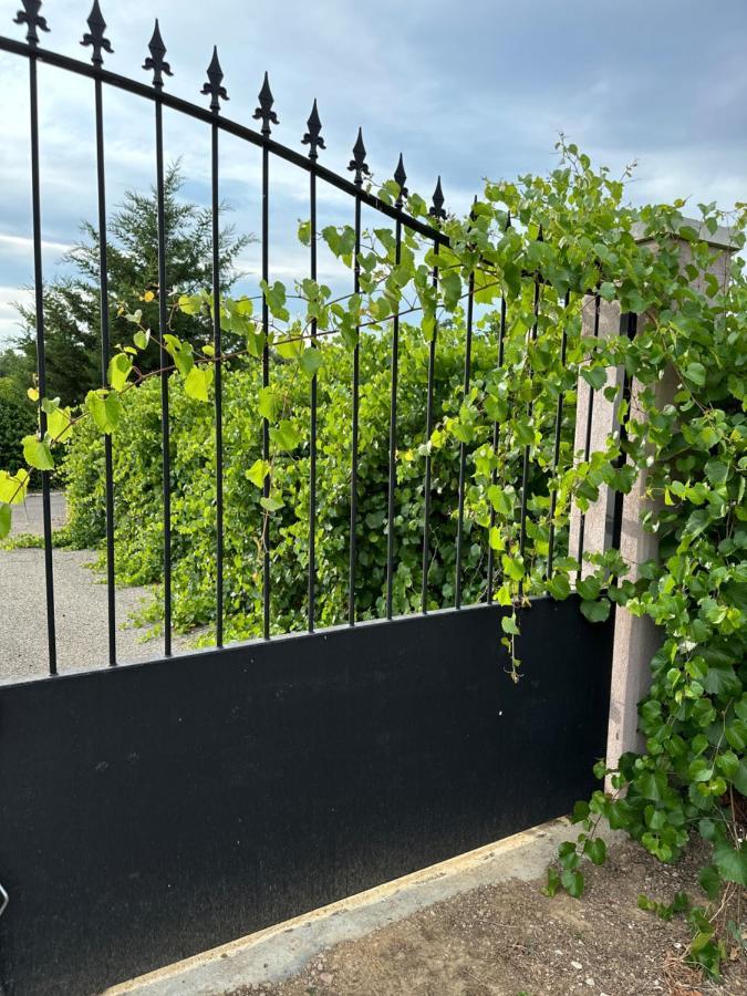 La Villa Du Rayol Saint Maximin Exteriör bild